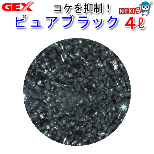 GEX���ԥ奢�֥�å���4L�ڿ���/Ǯ�ӵ�/�Ѿ޵�/����ۡ����Ρۡ�����/����ۡڥ������ꥦ��/�������ꤦ���