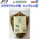 JUN コウモリランの板 エンブレム型 【取寄商品】【餌/水槽/熱帯魚/観賞魚】【通販/販売】【アクアリウム/あくありうむ/テラリウム/コケリウム/パルダリウム】