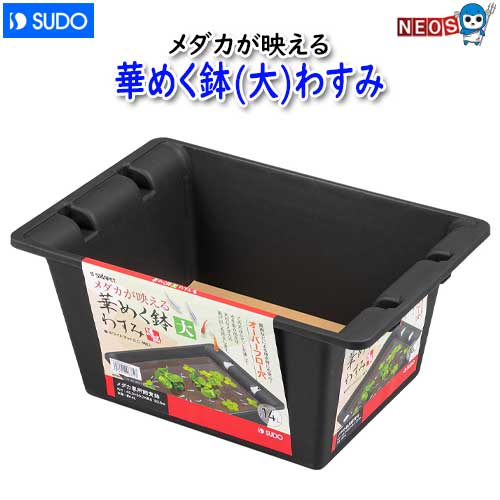~29 cm - スドー　華めく鉢(大)わすみ