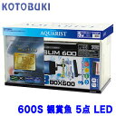 コトブキ 600S 観賞魚 5点 LEDW 600 × D 295 × H 360【水槽セット】【飼育セット】 【新着】【水槽/熱帯魚/観賞魚/飼育/セット水槽...