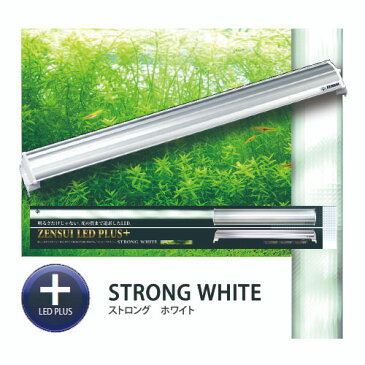 ゼンスイ　ZENSUI　LED　PLUS　90cm　ストロングホワイト【取寄商品】【水槽/熱帯魚/観賞魚/飼育】【生体】【通販/販売】【アクアリウム/あくありうむ】