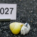一点物 ヤドカリのお家 プレミアム 1個 ry027
