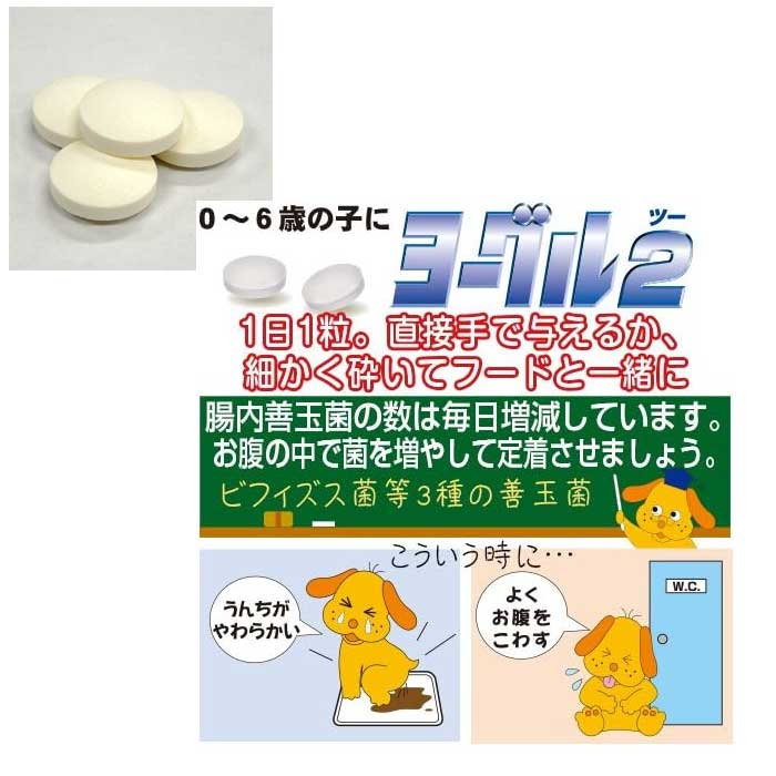 トーラス　ヨーグル2　善玉菌　30g fish-neos-10113234 ネオス 楽天市場店 サンプル画像2