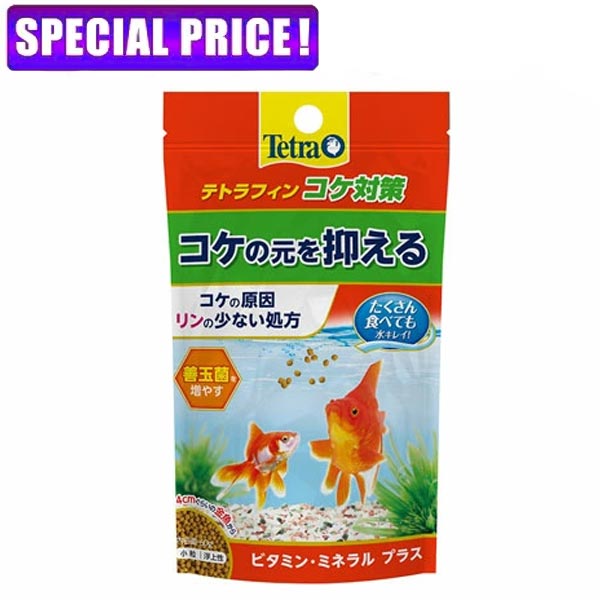 【日曜闇市】テトラ テトラフィン コケ対策 60g