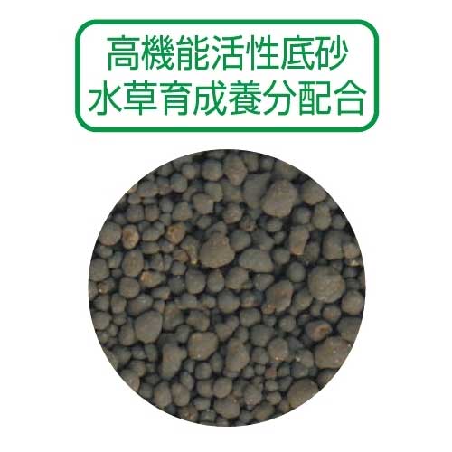 GEX��������֥���ɡ�4Kg