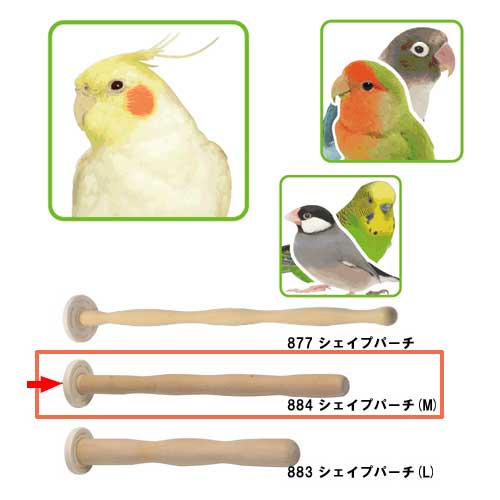 ネオス 楽天市場店の三晃商会　シェイプパーチ（M）　No.884｜アングル2