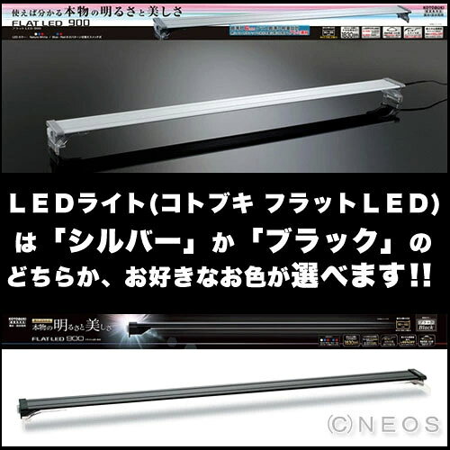 【水槽セット】コトブキ　90cm水槽　レグラスフラットF-900L水槽セット ＋選べるLE...