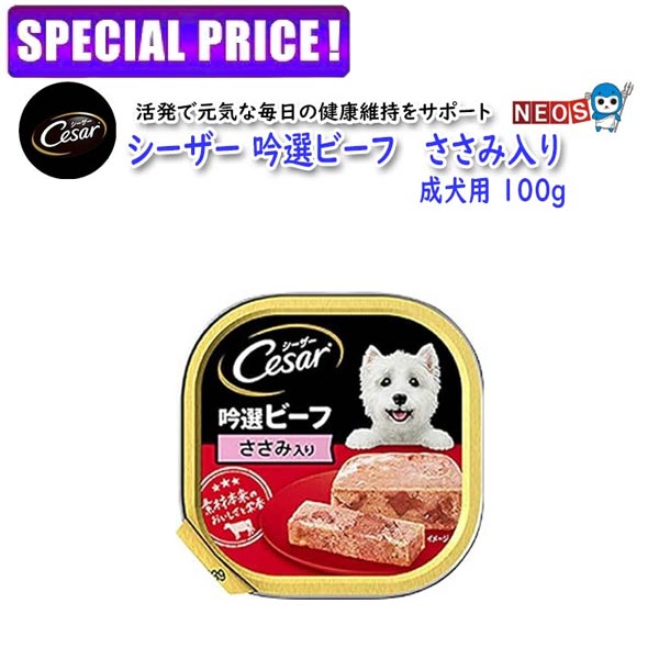 マースジャパン　シー