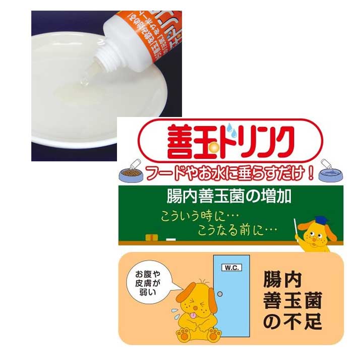 トーラス　愛犬　愛猫用　善玉ドリンク　100ml fish-neos-10113239 ネオス 楽天市場店 サンプル画像2