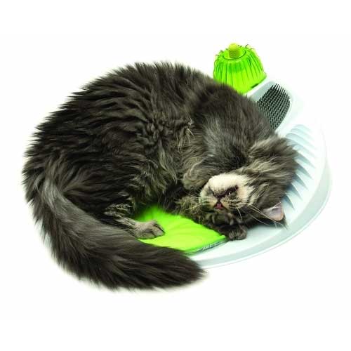 GEX　CatitウェルネスセンターN