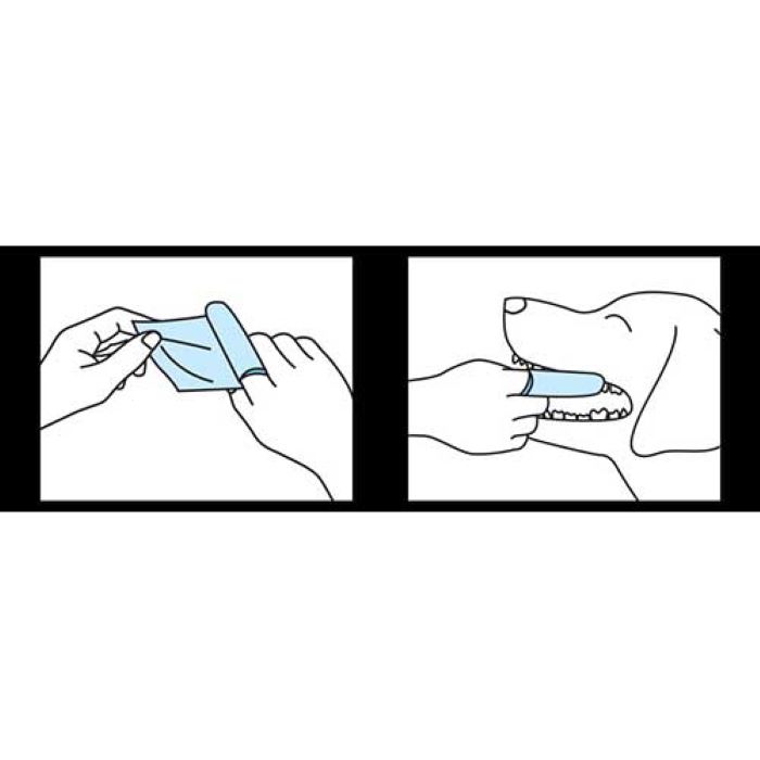 トーラス　歯みがきラクヤーシート　30枚