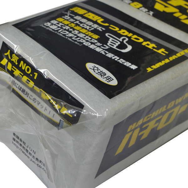 JUN　ハチローマット　【取寄商品】【水槽/熱帯魚/観賞魚/飼育】【生体】【通販/販売】【アクアリウム/あくありうむ】【小型】