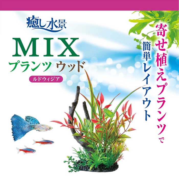 GEX 癒し水景 MIXプランツ ウッド ルドウィジア