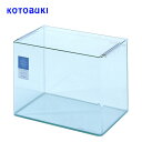 コトブキ レグラスR-400 【水槽/熱帯魚/観賞魚/飼育】【生体】【通販/販売】【アクアリウム/あくありうむ】【小型】