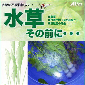楽天市場 Aiネット 水草その前に 農薬 付着生物を安全に除去 水槽 熱帯魚 観賞魚 飼育 生体 通販 販売 アクアリウム あくありうむ ネオス 楽天市場店 未購入を含む みんなのレビュー 口コミ 楽天市場 Aiネット 水草その前に 農薬 付着生物を安全に除去 水槽 熱帯魚 観賞魚 飼育 生体 通販 販売 アクアリウム あくありうむ ネオス 楽天市場店 未購入を含む みんなのレビュー 口コミ