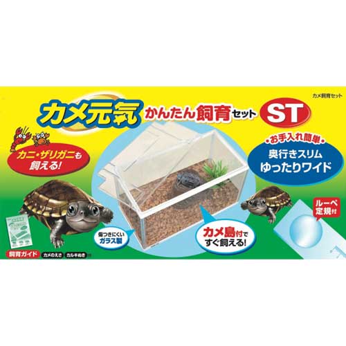 GEX　カメ元気　かんたん飼育セットST【爬虫類/両生類/用品】【通販/販売】