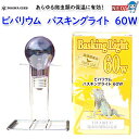 ポゴナ・クラブ ビバリウム バスキングライト 60W