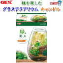 【日曜闇市】GEX グラスアクアリウム キャンドル 【小型水槽】