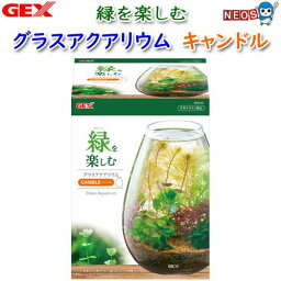 GEX　グラスアクアリウム　キャンドル　【小型水槽】【水槽/熱帯魚/観賞魚/飼育/セット水槽/オブジェ】【生体】【通販/販売】【アクアリウム/あくありうむ】