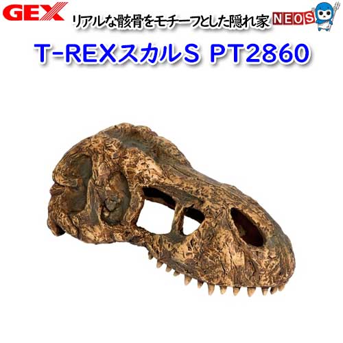 GEX　PT2860　T-REX　スカルS