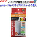 GEX pHキープ&バクテリアスリムマット5個入【水槽/熱帯魚/観賞魚/飼育/セット水槽/オブジェ】【生体】【通販/販売】【アクアリウム/あくありうむ】