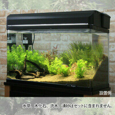 �ڿ���set�ۥ����ѡ�SET 13�� 60cm ���奻�å� �鿴�ԤΥ������ꥦ������˥ԥå�����ƤǤ�ɬ�פ����ʤ�·�äƤ��뤫��¿��ڿ���ۡ�����̵��/���奻�å�/���饻�å�/����/Ǯ�ӵ�/�Ѿ޵�/����/����/����/����/�������ꥦ��/����/��