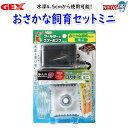 GEX おさかな飼育セット ミニ【水槽/熱帯魚/観賞魚/飼育】【生体】【通販/販売】【アクアリウム/あくありうむ】【小型】