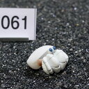 一点物 ヤドカリのお家 プレミアム 1個 ry061