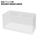 国産アクリル水槽W2000×D600×H600/板厚:周囲15mm底面13mm 溶剤接着 帯無し【同梱不可】【送料要問い合わせ】【アクリル水槽】 【水槽/熱帯魚...