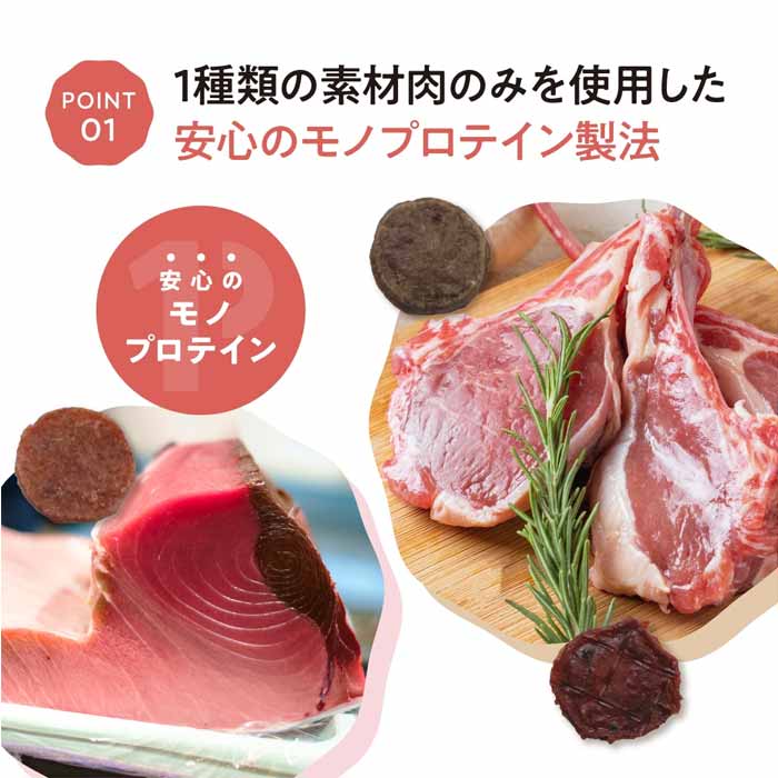 ジャパンペットコミュニケーションズ　Natural Chips　ナチュラルチップス　カンガ...
