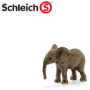 (インテリア・雑貨)schleich シュライヒ 14763 アフリカ象(仔) 【水槽/熱帯魚/観賞魚/飼育】【生体】【通販/販売】【アクアリウム/あくありうむ】【小型】