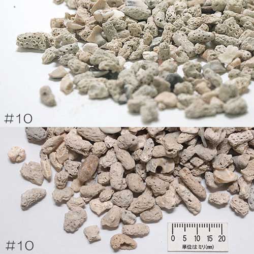 JUN���ץ���ʥ꡼�ե���ɡ�No.10�����ܡ�5kg���ڼ���ʡۡڱ� ���� �����ۡڴѾ޵����¤��ۡڿ���/Ǯ�ӵ�/�Ѿ޵�/����ۡ����Ρۡ�����/����ۡڥ������ꥦ��/�������ꤦ���