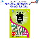 アース ・ペット 食べられる 歯みがきロープ やわらかめ SS 45g 愛犬用