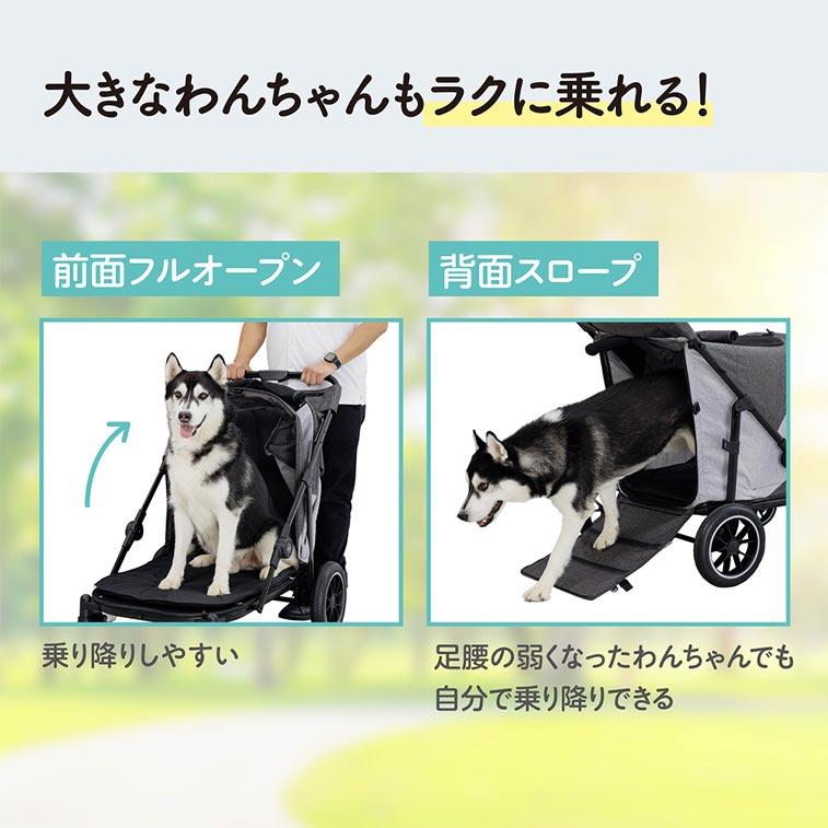 GEX OSOTO GO グランデ アーバングレー