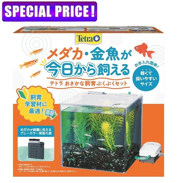 �����˰ǻԡۥƥȥ顡�������ʻ��� �֤��֤����å�