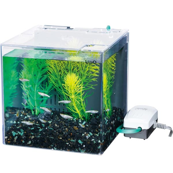 �����˰ǻԡۥƥȥ顡�������ʻ��� �֤��֤����å�