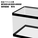 国産アクリル水槽W300×D300×H600/板厚:周囲10mm底面8mm 溶剤接着 帯有り【同梱不可】【アクリル水槽】