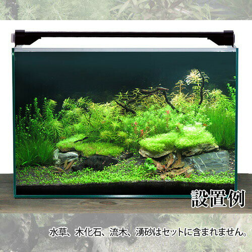 �ڿ���set�ۿ��ϥ�������ƥ����20�� 60cm���奻�å� High Quality���ϥåԡ����åȤ����ΰ������դ�����������ǥ������ꥦ�ब�Ϥ���륻�åȡڿ���/Ǯ�ӵ�/�Ѿ޵�/����/���åȿ���/���֥����ۡ����Ρۡ�����/�����