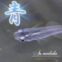 (めだか)青メダカ (約1.5-2cm)(50匹)【水槽/熱帯魚/観賞魚/飼育】【生体】【通販/販売】【アクアリウム/あくありうむ】【小型】