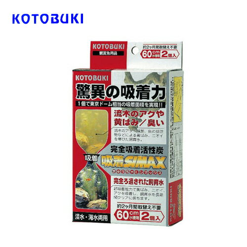 コトブキ　吸着シマックス　【水槽/熱帯魚/観賞魚/飼育】【生体】【通販/販売】【アクアリウム/あくありうむ】【小型】