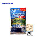 コトブキ　ろかジャリ 2L　【水槽/熱帯魚/観賞魚/飼育】【生体】【通販/販売】【アクアリウム/あくありうむ】【小型】