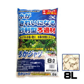 コトブキ　ろかジャリ 8L　【水槽/熱帯魚/観賞魚/飼育】【生体】【通販/販売】【アクアリウム/あくありうむ】【小型】