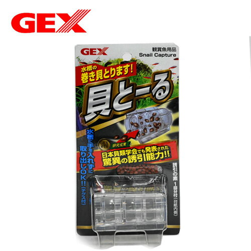 GEX　貝とーる　【水槽/熱帯魚/観賞魚/飼育】【生体】【通販/販売】【アクアリウム/あくありうむ】【小型】
