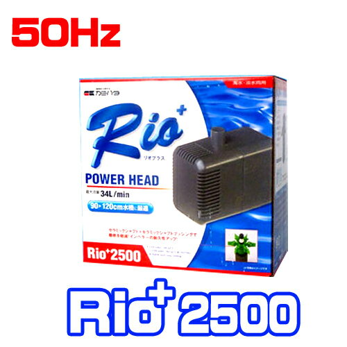 楽天ネオス 楽天市場店カミハタ　リオプラスRio+2500 パワーヘッド 50Hz　【水槽/熱帯魚/観賞魚/飼育】【生体】【通販/販売】【アクアリウム/あくありうむ】【小型】