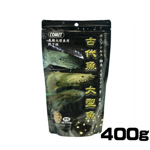 コメット 古代魚 大型魚 専用フード 大粒 400g 【餌 えさ エサ】【観賞魚 餌やり】【水槽/熱帯魚/観賞魚/飼育】【生体】【通販/販売】【アクアリウム/あくありうむ】【小型】