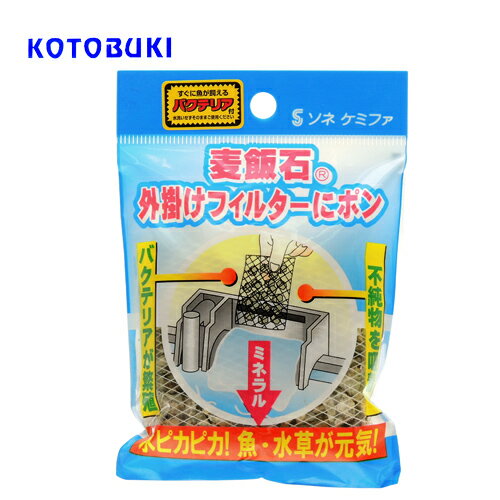 ソネケミファ　外掛けフィルターにポン　【水槽/熱帯魚/観賞魚/飼育】【生体】【通販/販売】【アクアリウム/あくありうむ】【小型】