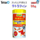 テトラ テトラフィン 50g 【餌 えさ エサ】【観賞魚 餌やり】【水槽/熱帯魚/観賞魚/飼育】【生体】【通販/販売】【アクアリウム/あくありうむ】【小型】