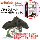 ニッソー 自然流木(ミニ) 【形状おまかせ】 + ブラックホール セット 【水槽/熱帯魚/観賞魚/飼育】【生体】【通販/販売】【アクアリウム/あくありうむ】【小...