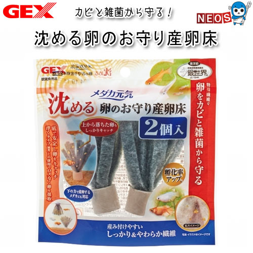 『特長』 特殊繊維でメダカの卵をカビと雑菌から守る産卵床 上から落ちた卵もしっかりキャッチ!下の方で産卵するメダカにも対応！ 水槽の底に沈めて使用することで、卵を産み付けるのが苦手なメダカにも対応。 上から落ちた卵もしっかりキャッチできます。 卵をカビや雑菌から守り、稚魚にも安心な抗菌作用のある特殊繊維(銀世界)を採用。 卵を産み付けやすく、生体にやさしいやわらか繊維。 土台部分とスポンジ部分が取り外せるので、洗って使用することができます。 『内容量』 2個 『ご使用方法』 ご使用の前に軽く水洗いし、飼育容器に沈めてご使用ください。 [tank]