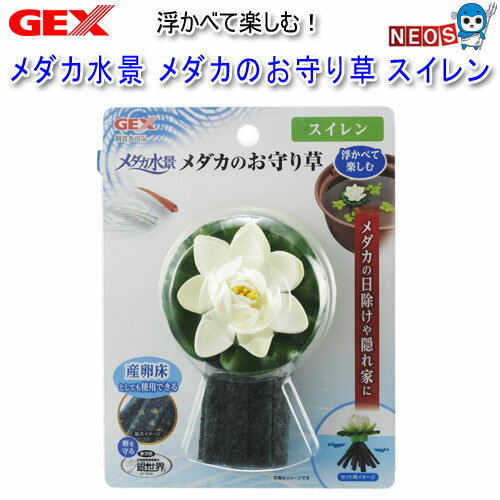 パケパフ350円GEX　メダカ水景　メダカのお守り草 スイレン